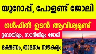 യൂറോപ്പ് പോളണ്ടിൽ ജോലി ഒഴിവ് ||ഗൾഫിൽ ഇന്ന് നിരവധി ജോലി ഒഴിവുകൾ|Gulfjobsmalayalam|Gulfjobvaccancy2023