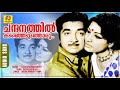 Chandanathil | Sasthram Jayichu Manushyan Thottu | Movie Songs | Evergreen Hits | Satheesh Babu |