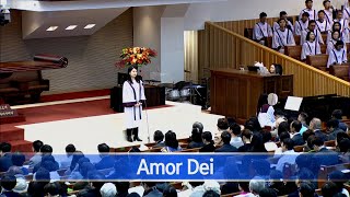 [소망교회] Amor Dei / 특송 / 20241124