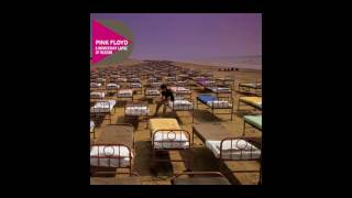 Terminal Frost - Pink Floyd - Remaster 2011 (09)