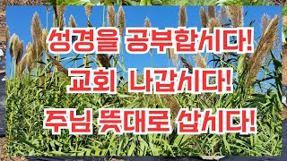 주님은 착한 이들에게 상을 주고, 악당들에게 벌을 내린다! (솔로몬 왕의 잠언) 이걸 믿어 봅시다! 믿는 자에게 복이 있나니~~