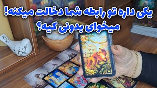 آرا تاروت - یکی داره تو رابطه شما دخالت میکنه! میخوای بدونی کیه؟