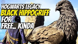 Catch Onyx Hippogriffs in Hogwarts Legacy