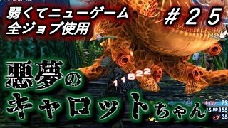 【FF12 TZA】初期レベル固定・全ジョブ使用で初見プレイに挑む #25（ゆっくり実況 / Steam版）