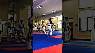 girls fight | Girl's kumite | karate event | superb point | #shorts