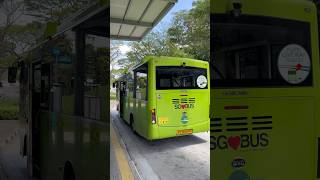 Mini Electric Bus In Singapore 🇸🇬 #subscribe #shortsfeed #shorts #short