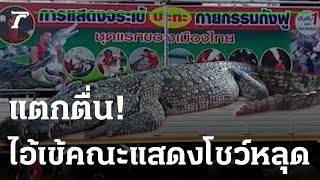 แตกตื่น! ไอ้เข้ 2.7 เมตร คณะแสดงโชว์หลุดแม่น้ำปิง | 17-02-66 | ไทยรัฐนิวส์โชว์