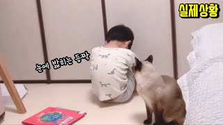 고양이 앞에서 울면 10초 안에 위로 받을 수 있을까?