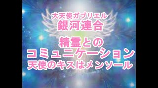 精霊とのコミュニケーション大天使ガブリエル！銀河連邦メッセージ！プレアデス,銀河連合,大天使,シリウス,アセッション,グラウンディング,9Dアルクトゥリアス評議会,アルクトゥリアス,