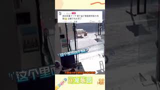 狗狗跟着主人上班还帮忙拿快递“熟悉的快递员来了会直接喊它”网友：没有一口狗粮是白吃的 #宠乐园 #轻松一刻 #动物