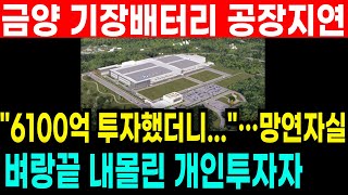 🔴충격속보 [금양 주가전망]  기장배터리 공장 지연?! 동부건설찌라시 사실이였나?! 어떻게 대응해야하나