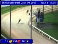 igb we race four nights every week a6 a7 25 10 2019 race 1 shelbourne park