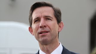 Simon Birmingham committed to government role despite Voice proposal issues