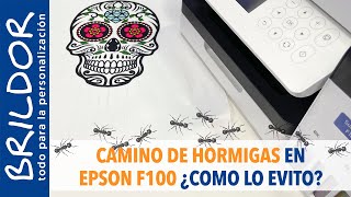 🐜🐜🐜 Cómo EVITAR el CAMINO de HORMIGAS EPSON F100 / F170 🐜🐜🐜