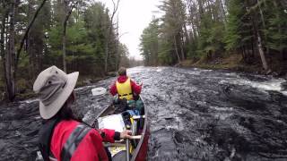 Paddling down the Bonnechere River - Algonquin Park