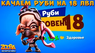 КАЧАЕМ ОЛЕНЯ РУБИ ИЗ ПУСТОШИ НА 18 УРОВЕНЬ В ИГРЕ ZOOBA