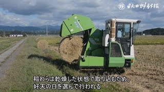 稲わら取り込み盛ん　秋田市下新城