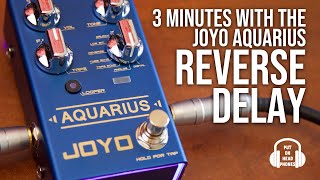 JOYO AQUARIUS REVERSE DELAY