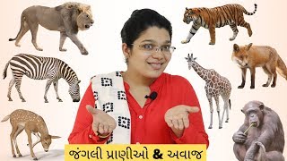 જંગલી પ્રાણીઓ ના નામ \u0026 અવાજ | Wild Animals Name And Sound | Jangli Pranio | Wild Animals | KidsTube