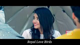 New ❣️ Sweet WhatsApp Status Video | Couple Romantic Status | Royal Love Birds