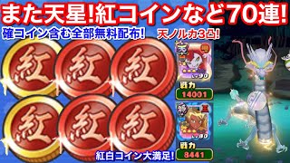 無料配布！天星またキタ！紅コイン確 紅コイン フェスガシャ 約70連！天星ノルカ 悲願の3凸！天獅子エンマ 蛇楽師オロチ 妲己【妖怪三国志 国盗りウォーズ】1つ選べる紅白コイン箱 YoKai masa