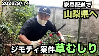 【ジモティ案件】草が生える限り俺は稼げるwww