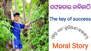 ସଫଳତାର ଚାବିକାଠି | saphalata ra chabikathi | the key of success