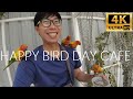 BANGKOK BIRD CAFE! Happy Bird Day Cafe! Too cute! They fly all over me!