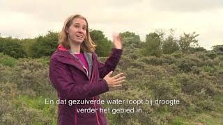 30 jaar Natuurnetwerk Nederland, aflevering 4: Schoonwatervallei