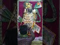 राजाधिराज द्वारकाधीश जी के श्रृंगार आरती दर्शन🙏🏻 shringaraarti shreedwarkadhishjagadmandirdwarka