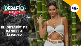 Daniella Álvarez comparte más sobre su 'Desafío' en 'The Box' - Exclusivo Web