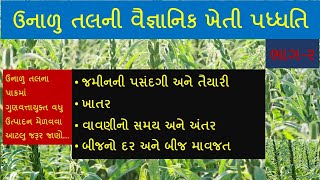 ઉનાળુ તલની વૈજ્ઞાનિક ખેતી પદ્ધતિ ભાગ-૨/Unalu til ni vaigyanik kheti paddhati/Part-2