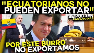 ECUATORIANOS LLORAN POR QUE CLAUDIA SHIENBAUM NO LES DEJA EXPORTAR Y LLAMAN BURRO A NOBOA