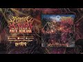 SEDERAI MUTILATION - Pintu Bencana