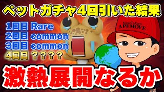 APEMOVEペットガチャを4回引いた結果【M2E 仮想通貨】