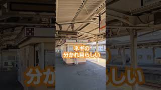 三島駅が実は西日本エリアだった #東海道線 #jr東海 #東海道本線