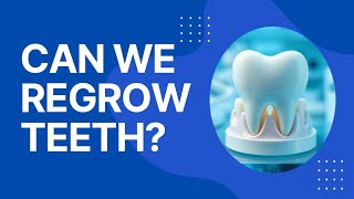 Can We Regenerate Our Teeth?