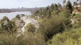 Welcoming Barangaroo Reserve