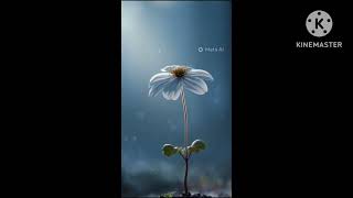 The magic seed