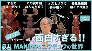 【昆虫 MANIAC】図録を読み解く！～監修者の“推し”ページ～「マイナー…だけど面白すぎる!!MANIACな甲虫の世界」