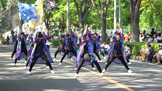 宮戸青嵐　彩夏祭　2019.8.3　公園通り北　2回目