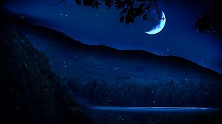 Ambient night sounds - Soothing Nature White Noise Relaxing at Night For Best Insomnia Healing