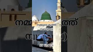 മുത്ത് നബി 😢 #madina #madeena #shortsfeed #trending #ytviral #islam #muhammad #shorts #minivlog #yt