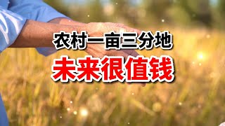 很多农村农民早就进城了，为什么不放弃农田？3点理由，你怎么看