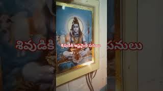 శివుడికి ఇష్టమైన పనులు