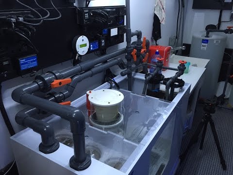 Mr. Saltwater Tank's 450 Gallon Build Update Mr. Saltwater Tank's 450 Gallon Build Update