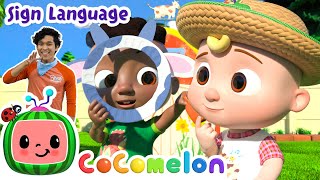 Five Senses Song Cocomelon Nursery Rhymes Kids Song Compilation
