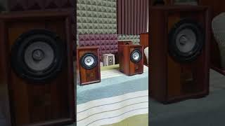 speakers 臺灣BT喇叭成品音箱做好。歡迎試聽。音響發燒友 發燒hifi 膽機音響 發燒友 藍牙音箱推薦 贝利音响Balee