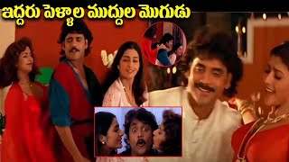 ఇద్దరు పెళ్ళాల ముద్దుల మొగుడు | Aavida Maa Aavide movie Nagarjuna, Tabu ,Heera , Interesting Scenes