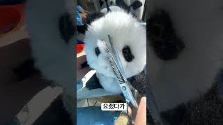 이랬는데 요랬다가 뚱빵이댔슴당~ #panda #판다 #판다인형 #팬더 #팬더인형